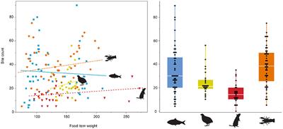 Controlled feeding experiments with juvenile alligators reveal microscopic dental wear texture patterns associated with hard-object feeding
